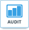 Professional Website Audit Report Coupon