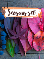 Seasons Set – Exclusive 15 Off Discount